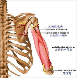 hình ảnh 3